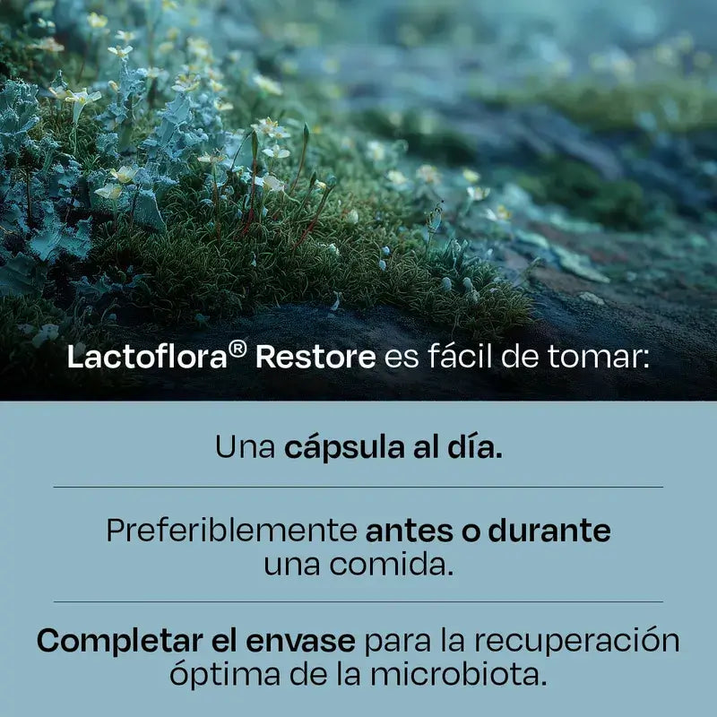 Lactoflora Restore 20 capsule