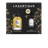 Set natalizio Lazartigue Olio secco nutriente + Siero termoprotettivo , 2 unità