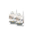 Lenda Lc Country Meat, confezione da 2x20 kg