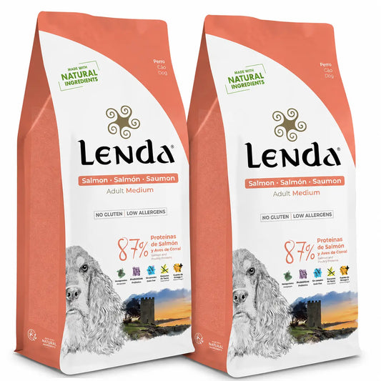 Lenda Salmone per cani adulti, 2 X 2 kg