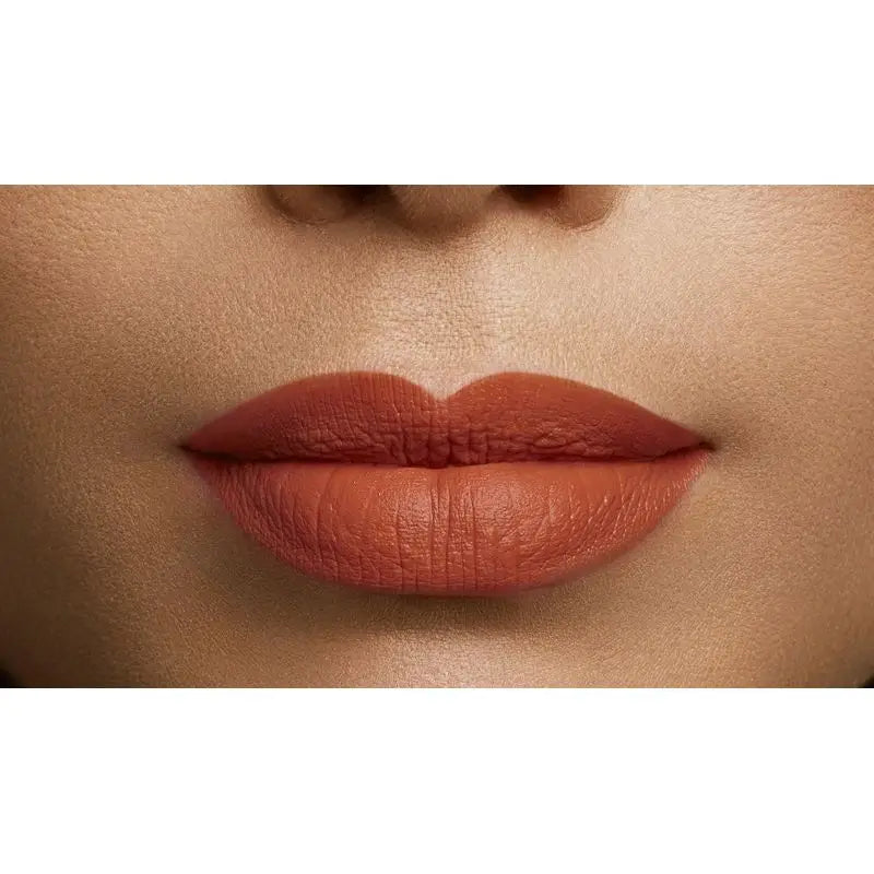 L'Oréal Paris Color Riche 108 Brun Cuivre Rossetto marrone rosato
