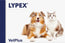 Lypex Cani e Gatti, 60 Capsule