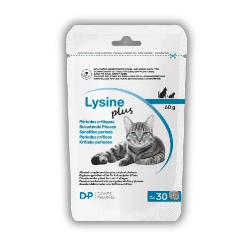 Lysine Plus 30 snack da 2 g