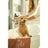 Masco Beauty Aloe Vera Detox Shampoo per cani, 250ml