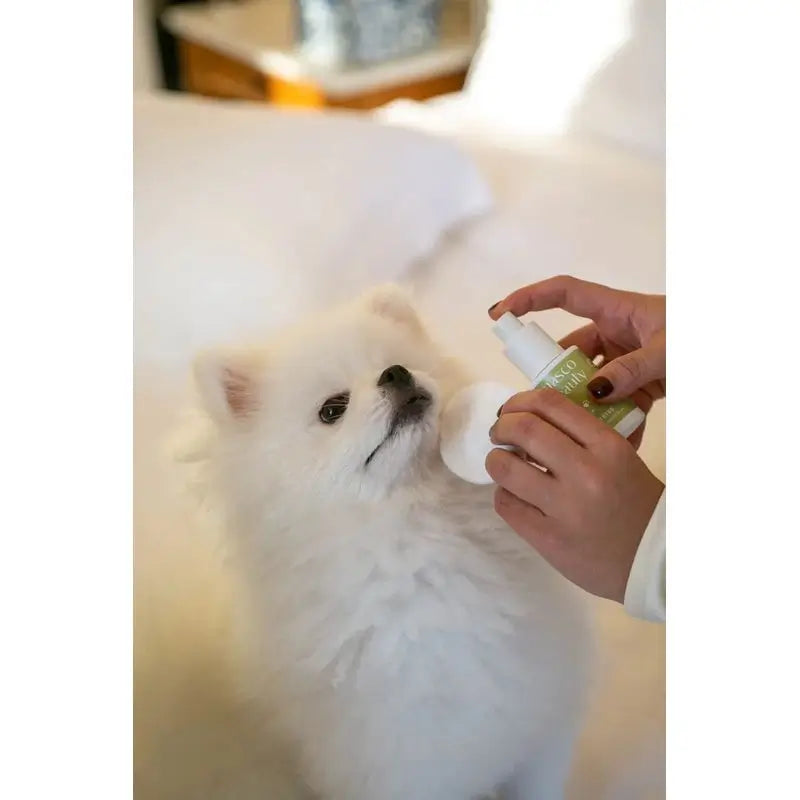 Masco Beauty Detergente occhi per cani, 30 ml