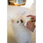 Masco Beauty Detergente occhi per cani, 30 ml