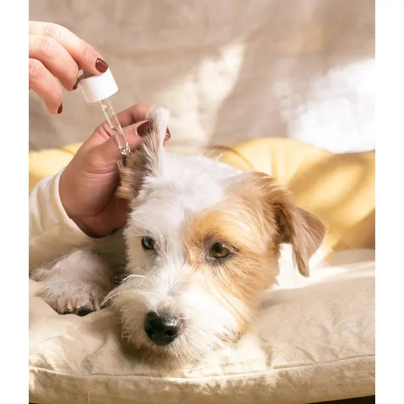 Masco Beauty Detergente auricolare per cani, 30 ml