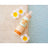 Masco Beauty Spray di protezione solare per cani, 125 ml