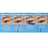 Maybelline New York Hyper Precise Eyeliner Precise Long Wear Waterproof, tonalità blu pappagallo