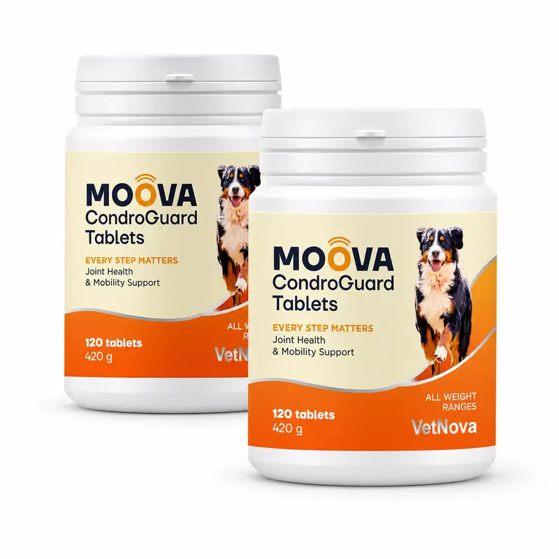 Moova CondroGuard Confezione da 2 x 120 compresse