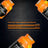 Named Sport Integratore Acetil L-Carnitina , 1 flacone da 60 cpr