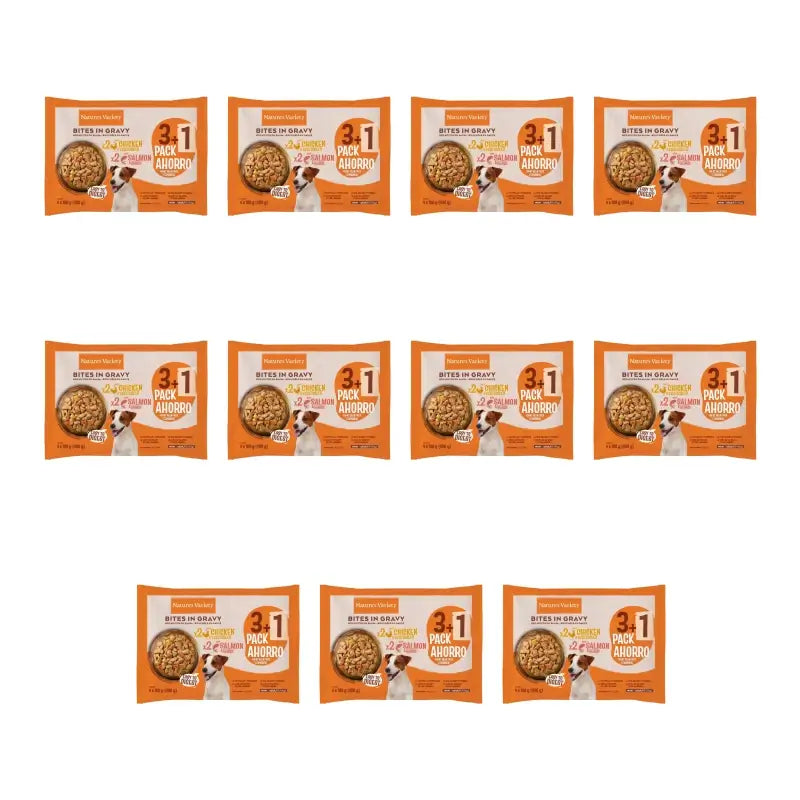 Nature's Variety Mini Flowpack, 100 g, confezione da 11