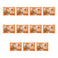 Nature's Variety Mini Flowpack, 100 g, confezione da 11
