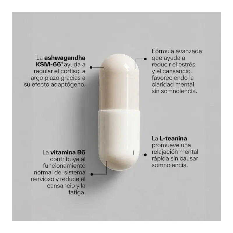 Ndl Pro-Health Ashwagandha Ksm-66 biologica + L-teanina, 120 capsule