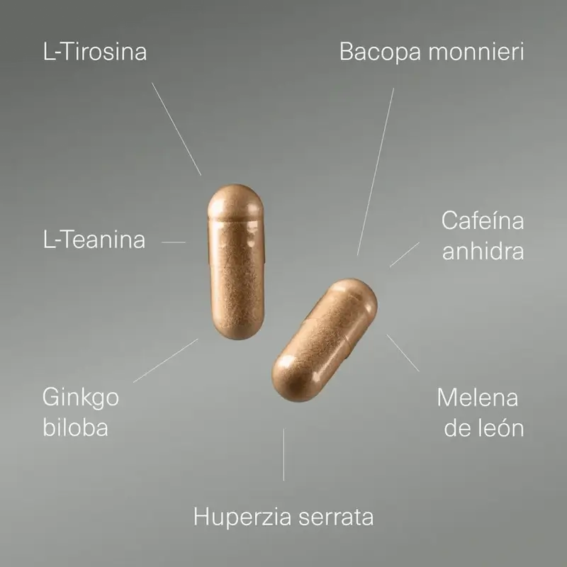 Nootropo di Aldous Labs con Ginkgo Biloba, Criniera di Leone, Caffeina, Bacopa, Tirosina, Teanina, Teanina e Huperzina A