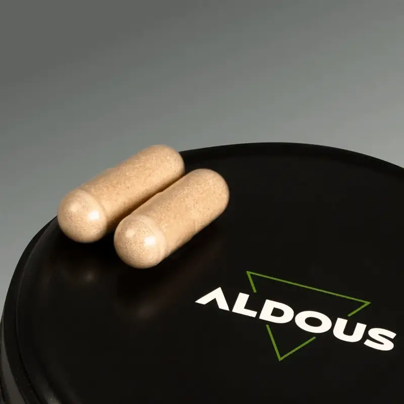 Nootropo di Aldous Labs con Ginkgo Biloba, Criniera di Leone, Caffeina, Bacopa, Tirosina, Teanina, Teanina e Huperzina A