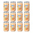 Nutriben Potito Frutti Assortiti , 12 x 235 grammi
