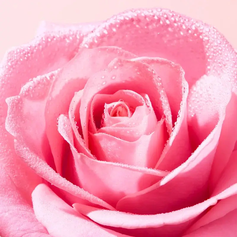 Balsamo labbra Nuxe Very Rose