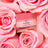 Balsamo labbra Nuxe Very Rose