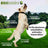 Omnicondro 20 Condroprotettore per cani, confezione 3 x 60 compresse