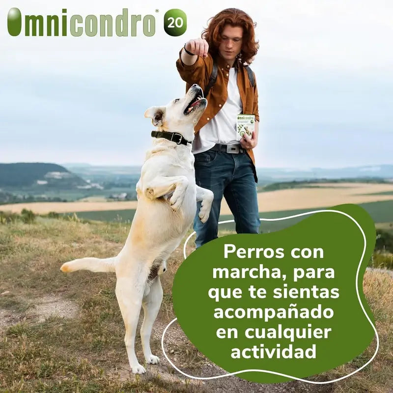 Omnicondro 20 Condroprotettore per cani, confezione 3 x 60 compresse