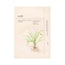 Ondo Beauty 36.5 Maschera Tang-Tang Lifting all'Adenosina e Zhi Mu, 25 g