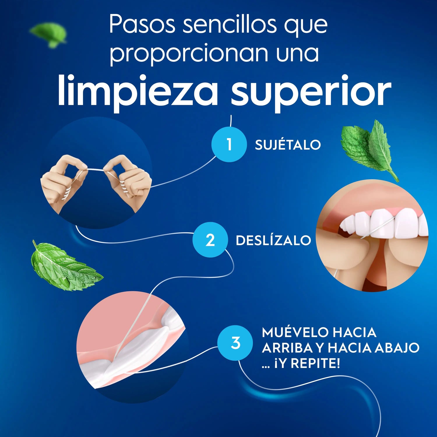 Nastro raso Oral-B alla menta 50 metri