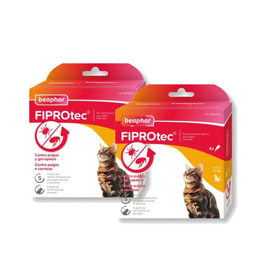 Beaphar Fiprotec Spot On Gatto 4 Pip x 0,5 ml, Confezione 2 pezzi