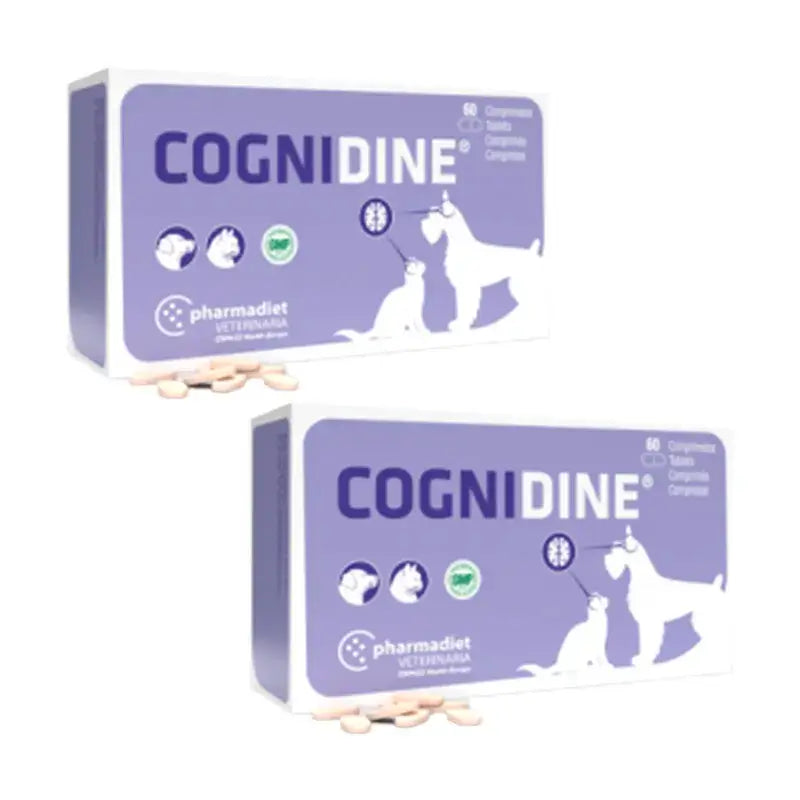 Confezione Cognidine, Confezione 2 x 60 compresse