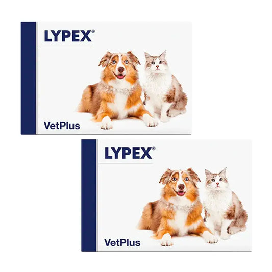 Lypex Blister, Confezione 2 x 60 Capsule