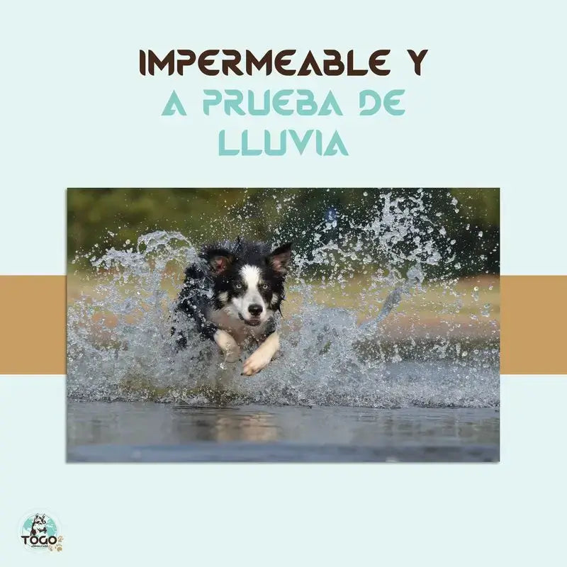 Collare repellente antiparassitario Togo per cani di tutte le taglie, confezione da 2