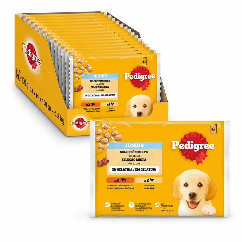 Pedigree 4Pack Junior Bustine di pollo e riso 13X4X100