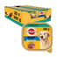 Pedigree Senior Terrina Box 20X300Gr