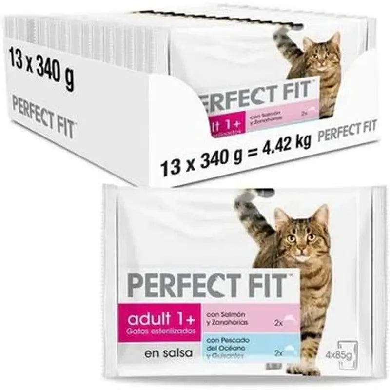 Perfect Fit Fish 13x4x85 grammi