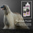Petuxe Balsamo bifasico, tutti i tipi di capelli 300 Ml