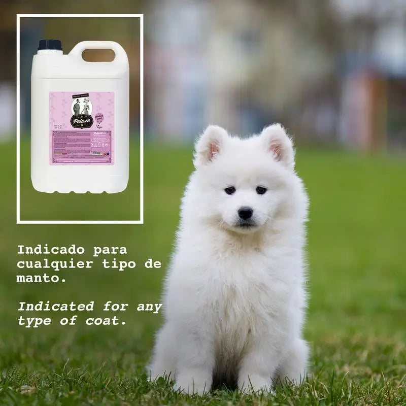 Petuxe Shampoo lavante ad alta potenza 5000 Ml