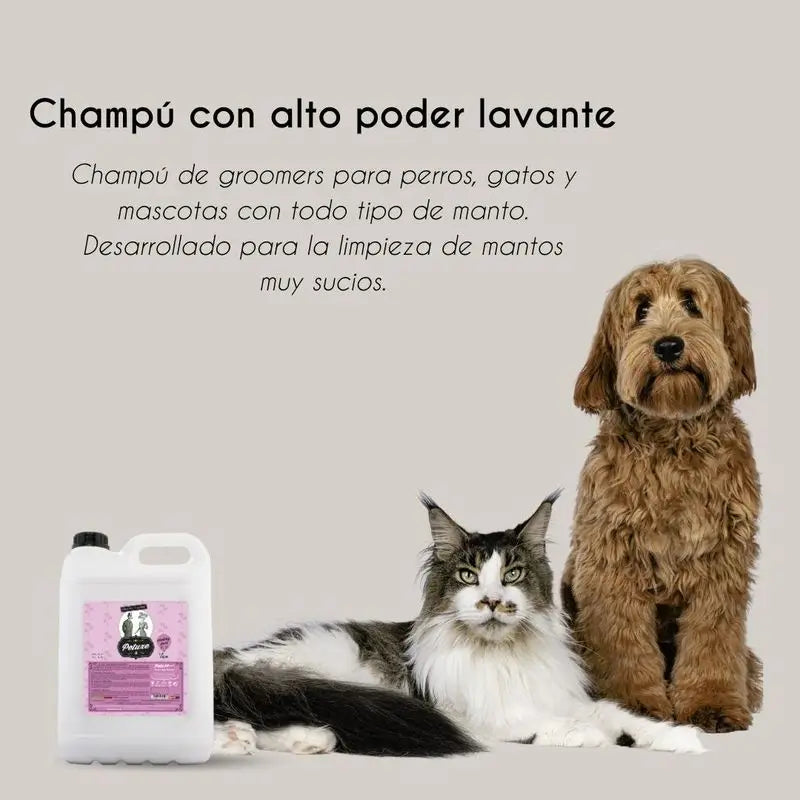 Petuxe Shampoo lavante ad alta potenza 5000 Ml