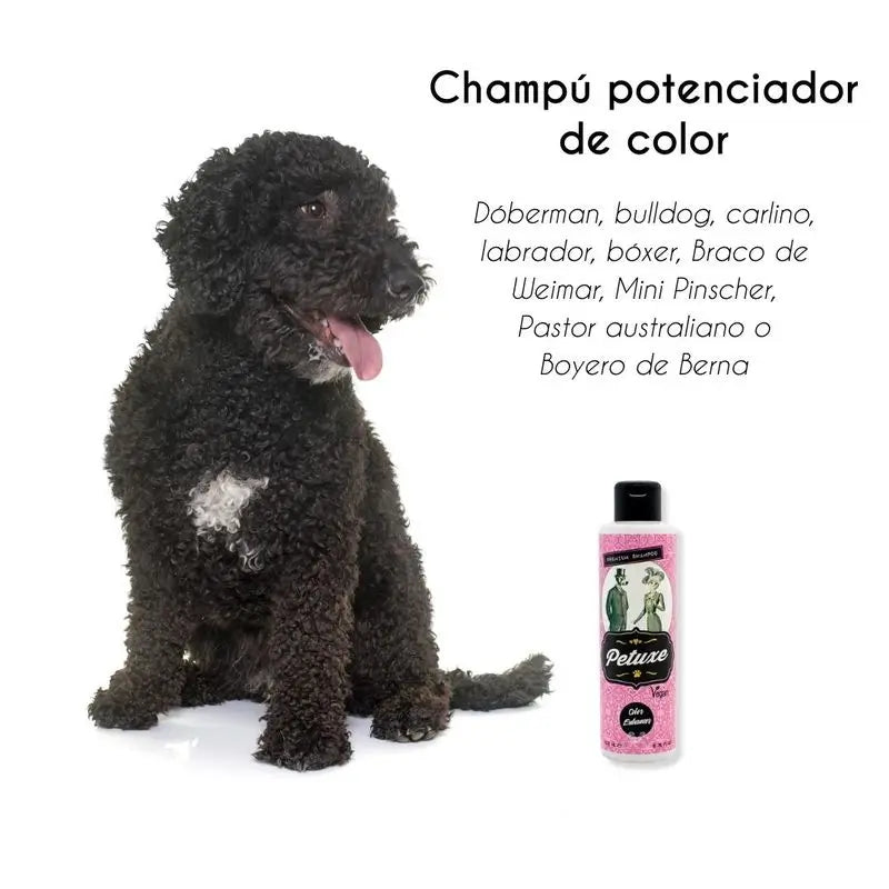 Petuxe Shampoo colorante (capelli neri e scuri) 200 Ml