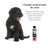 Petuxe Shampoo colorante (capelli neri e scuri) 200 Ml