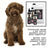 Petuxe Special Water Dog Shampoo texturizzante 200 Ml