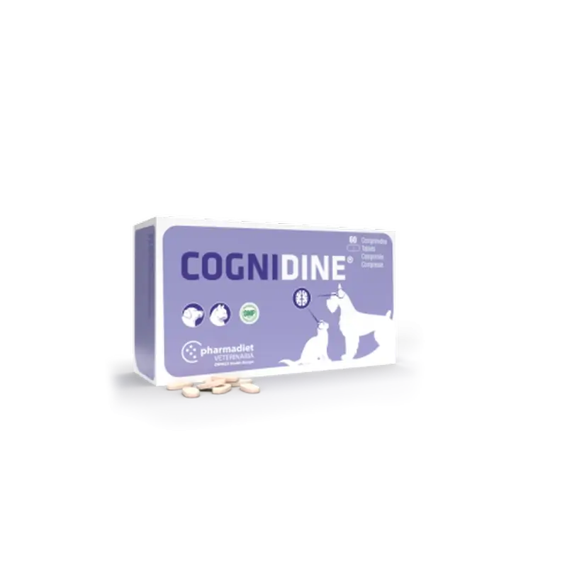 Cognidina, 60 compresse