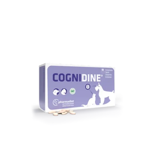 Cognidina, 60 compresse