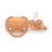 Philips Avent 2 succhietti ultra morbidi +18m neutro