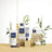 Balsamo nutriente Phyto , 175 ml