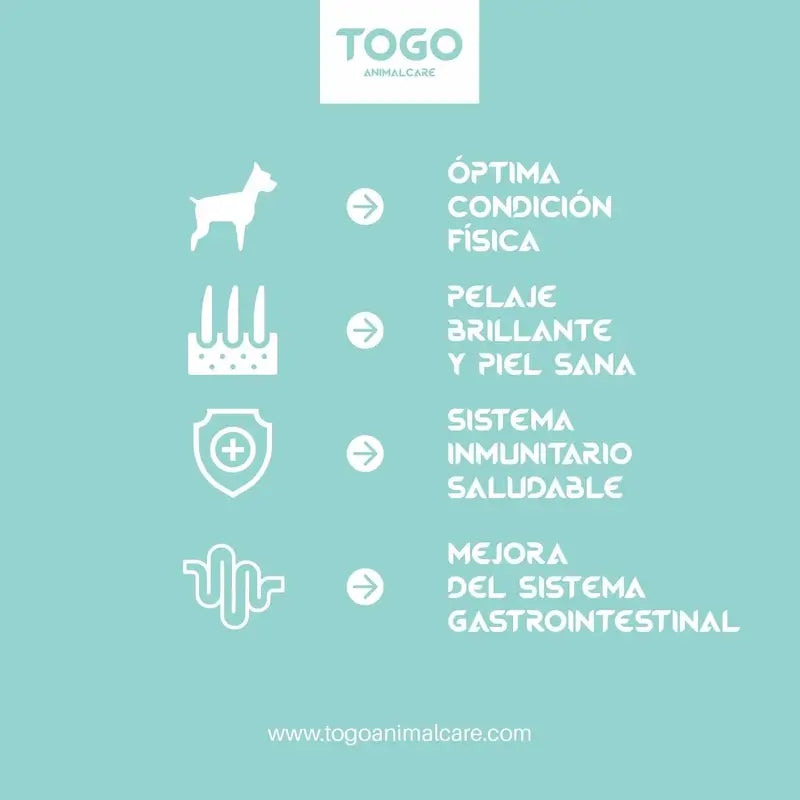 Togo Alimento ipoallergenico vegano per cani, 4 kg