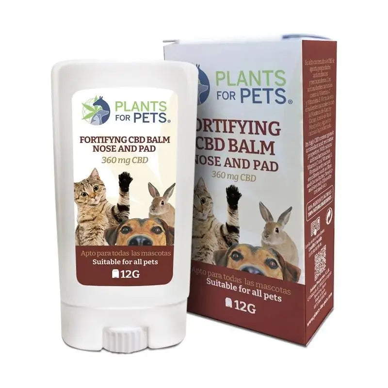 Plants For Pets Stick fortificante per animali domestici , 12 gr
