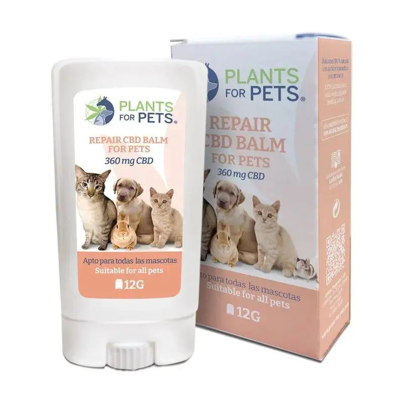 Plants For Pets Stick riparatore per animali domestici , 12 gr