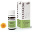 Pranarom Oils Olio essenziale di Immortelle giallo Bio 5Ml.