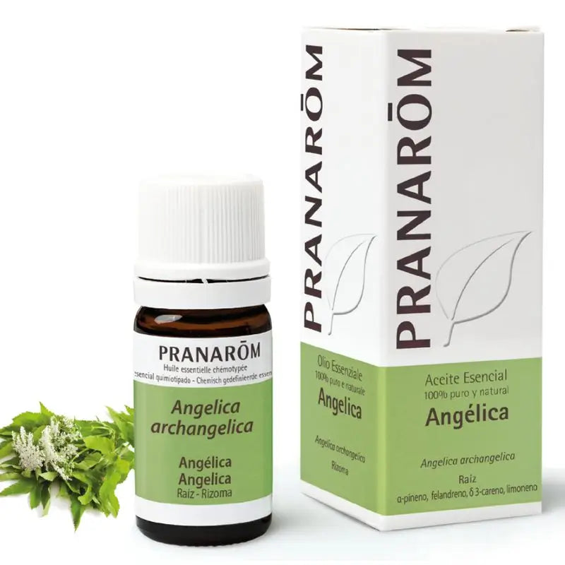 Pranarom Olio essenziale di Angelica, 5ml