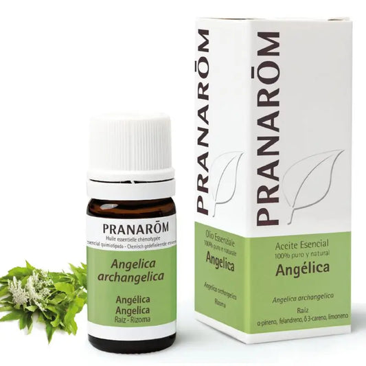 Pranarom Olio essenziale di Angelica, 5ml
